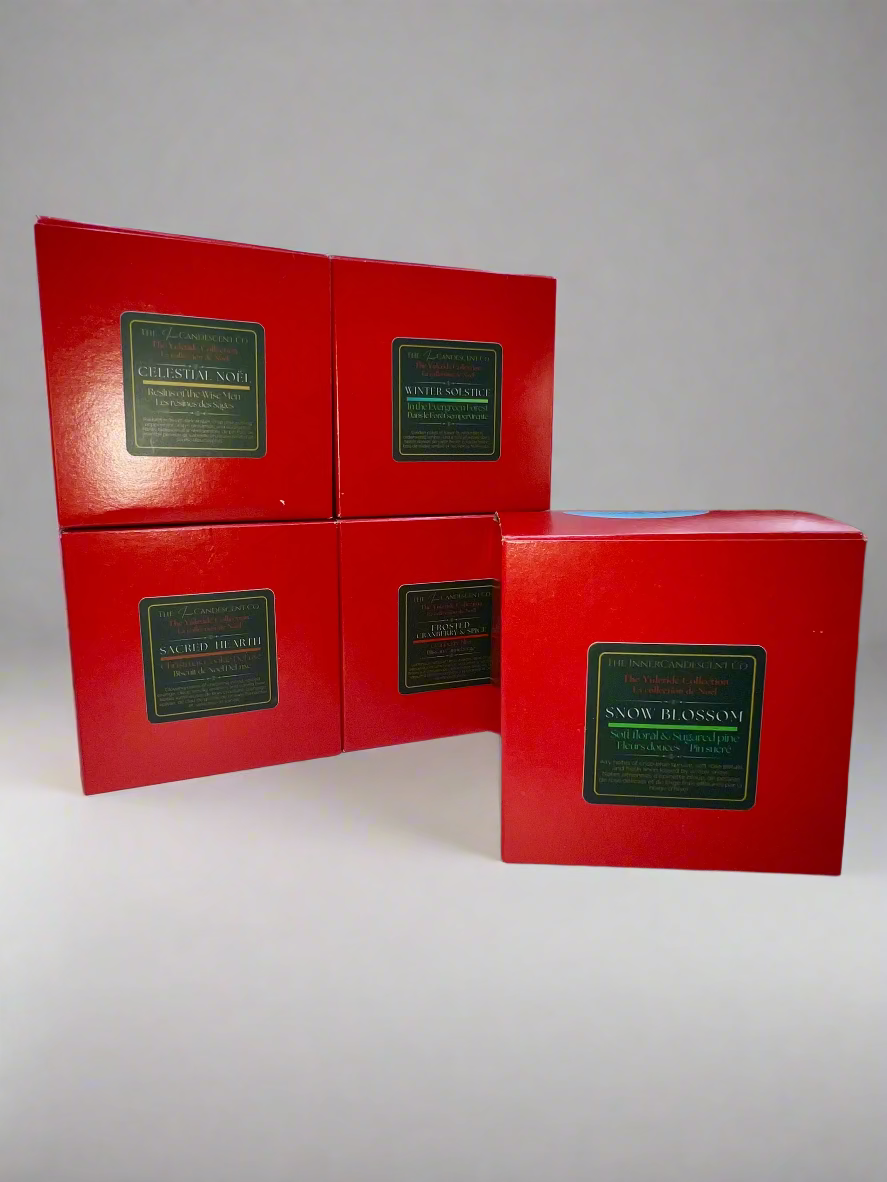 Five red boxes with green labels on a white surface.
